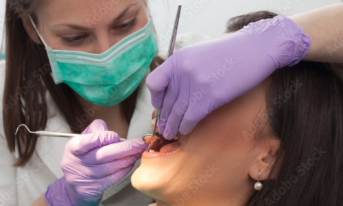 Dentist